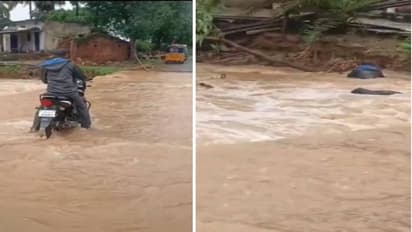 కళ్ల ముందే బైక్తో సహా కొట్టుకుపోయాడు.. చెట్టు కొమ్మతో పైకి వచ్చేద్దామనుకున్నా, చివరికి .. వీడియో వైరల్