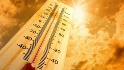 இது Global Boiling Era.. எச்சரிக்கும் ஐ.நா தலைவர்.. 1.2 லட்சம் ஆண்டுகளில் பதிவு செய்யப்பட்ட Hottest ஜூலை இது!