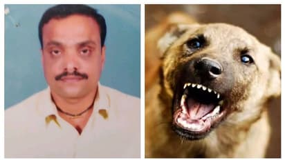 തെരുവ് നായ കുറുകെ ചാടി ഓട്ടോ മറിഞ്ഞു; ഡ്രൈവർക്ക് ദാരുണാന്ത്യം