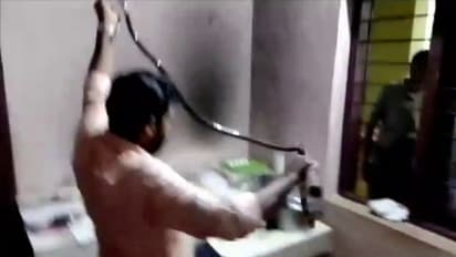 അങ്കണവാടിയിലെ അടുക്കളയിലെ പാല് പാത്രത്തിനടുത്ത് 'ഭീകരന്'; 'മഴ' മൂലം ഒഴിവായത് വന്ദുരന്തം