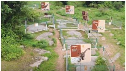   6.5 ബില്യണ്‍ വര്‍ഷം പഴക്കമുള്ള ദിനോസര്‍ മുട്ടകള്‍ മധ്യപ്രദേശിലെ ധറില്‍ നിന്നും കണ്ടെത്തി