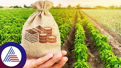 1 एकड़ ज़मीन से हर महीने कमाई 1 लाख रु., ये हैं वो 5 तरीके