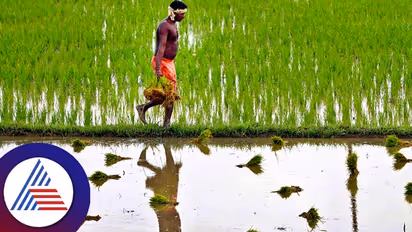 விவசாயிகளுக்கு அடித்தது ஜாக்பாட்.! வங்கி கணக்கில் 15,000 ரூபாய்- சூப்பர் அறிவிப்பை வெளியிட்ட வேளாண்மை துறை 