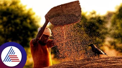 விவசாய ஏற்றுமதி 26.7 பில்லியன் அமெரிக்க டாலராக உயர்வு: மத்திய அரசு!