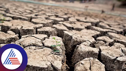 Karnataka cabinet seeks Rs 5,326 crore for drought relief from Centre 