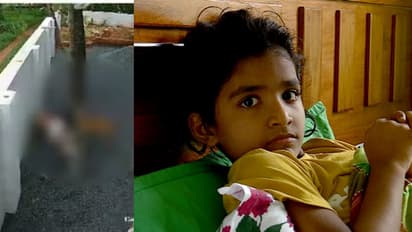 'കഥയിലെ നായ നല്ലതാണ്, ബില്ലൂനെ പോലെ ആകണം നായകൾ'; രണ്ടാം ജന്മത്തേക്കുറിച്ച് ജാൻവിയ