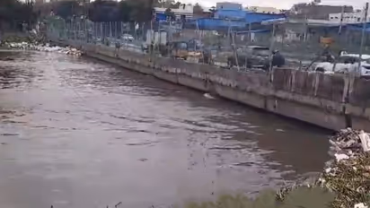 నదీ తీరంలో నవజంట ఫోటో షూట్... కాలుజారి నీటిలోపడి ముగ్గురు దుర్మరణం