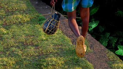കള്ളിനോട് അരുചിയുണ്ടോ? കയ്യിലും കാലിലും തഴമ്പുള്ള ചെക്കന്മാരോടോ?