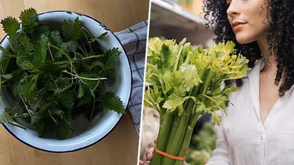 Improved digestion to heart health: 7 health benefits of Celery