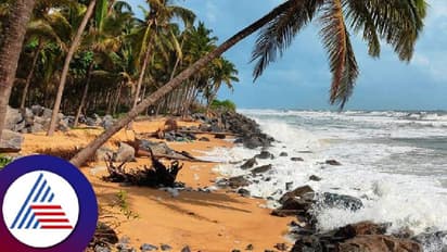 ಮಂಗಳೂರು: ಕಡಲ್ಕೊರೆತ ಶಾಶ್ವತ ಪರಿಹಾರಕ್ಕೆ ನೈಸರ್ಗಿಕ ತಂತ್ರಜ್ಞಾನಕ್ಕೆ ಮೊರೆ   