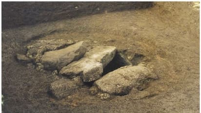 2000 വര്‍ഷം പഴക്കമുള്ള ശവകുടീരം; ഇരുമ്പ് യുഗത്തിലെ വനിതാ പോരാളിയുടെതെന്ന് വെളിപ്പെടുത്തല്‍ 