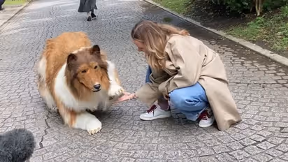 Japanese man named Toco spent Rs 11.65 lakh to be a dog (WATCH)