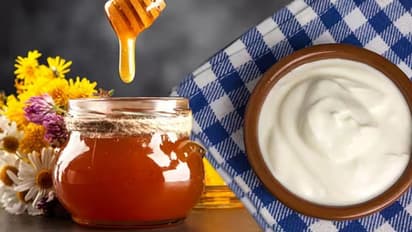 തൈരില് തേന് ചേര്ത്ത് ഉപയോഗിക്കാം; ചര്മ്മത്തില് വരും അത്ഭുതമാറ്റങ്ങള്...