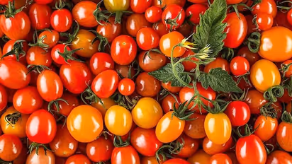 ரூ.21 லட்சம் மதிப்புள்ள தக்காளி மாயம்.. ஸ்கெட்ச் போட்டு லாரியோடு தூக்கிய சம்பவம்..