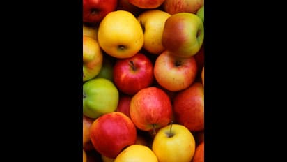 ആപ്പിൾ വാങ്ങാൻ ദില്ലിയിലെത്തിയ പശ്ചിമബംഗാള് സ്വദേശിയെ സുഹൃത്ത് തട്ടിക്കൊണ്ടു പോയി, മോചനദ്രവ്യം തട്ടി !