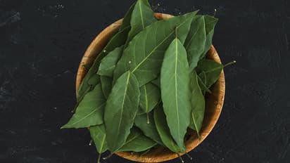 ಬೇವಿನ ರಸದ ಉಪಯೋಗ ತಿಳಿದರೆ ನೀವು ಅಚ್ಚರಿಗೊಳ್ಳುತ್ತೀರಿ! ಈ ವಿಚಾರ ತಿಳಿದರೆ ಮನೆ ಮುಂದೆ ಗಿಡ ನೆಡುವಿರಿ!