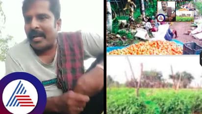 ತರಕಾರಿ ಬೆಳೆದ ಲಾಭದಿಂದಲೇ ಜಮೀನು ಖರೀದಿಸಿ ಸಾಧನೆ ಮಾಡಿದ ದೈಹಿಕ ಶಿಕ್ಷಕ ಜಯಪ್ಪ!