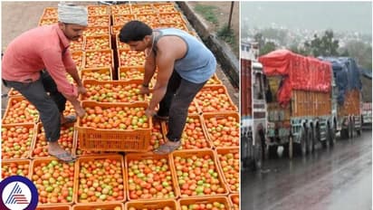 ಟೊಮೆಟೊ ತುಂಬಿಕೊಂಡು ಕೋಲಾರದಿಂದ ರಾಜಸ್ಥಾನಕ್ಕೆ ಹೊರಟಿದ್ದ ಲಾರಿ ನಾಪತ್ತೆ: ರೈತರು ಕಂಗಾಲು