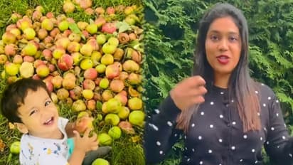 അങ്ങനെ കാനഡയില്‍ എത്തി ഗെയ്സ്;  വിശേഷങ്ങളുമായി ആതിര മാധവ്