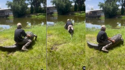 ಇವನಿಗೇನ್ ಬಂತ್ ನೋಡಿ : ಮೊಸಳೆಯ ಮೇಲೆ ವ್ಯಕ್ತಿಯ ಜಾಲಿ ರೈಡ್:  ವೈರಲ್ ವೀಡಿಯೋ