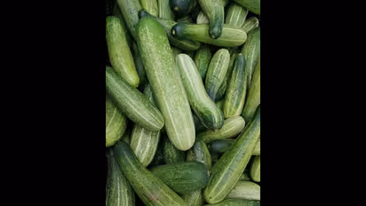 വേനല്‍ച്ചൂടില്‍‌ വെള്ളരിക്ക കഴിക്കൂ; അറിയാം ഈ ഗുണങ്ങള്‍... 