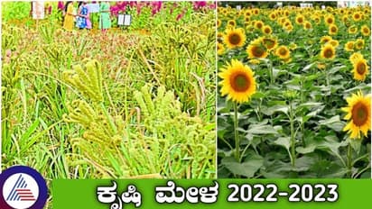 ಬೆಂಗಳೂರು ಕೃಷಿ ಮೇಳಕ್ಕೆ ರಾಗಿ ಸೇರಿ 5 ಹೊಸ ತಳಿ ಬಿಡುಗಡೆ