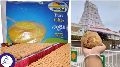 ತಿರುಪತಿ ಲಡ್ಡು ತಯಾರಿಕೆಗೆ ನಂದಿನಿ ತುಪ್ಪ ಪೂರೈಕೆ ಸ್ಥಗಿತ: ಕಾರಣ ಬಿಚ್ಚಿಟ್ಟ ಕೆಎಂಎಫ್‌