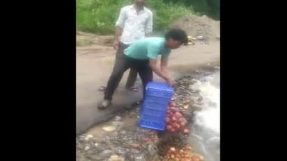 ஆப்பிளை ஓடையில் வீசிய விவசாயிகள்: விசாரணைக்கு இமாச்சல் அரசு உத்தரவு!