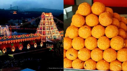 തിരുപ്പതി ലഡുവിൽ ഇനി 'നന്ദിനി' നെയ്യില്ല; രുചി പെരുമ അവസാനിക്കുന്നു. കാരണം ഇതാണ്