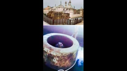 ஞானவாபி மசூதியில் தொல்லியல் ஆய்வு தொடர அனுமதி: அலகாபாத் உயர் நீதிமன்றம்!