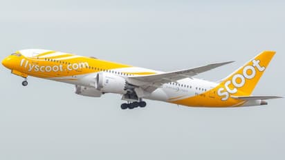 எளிமையாகும் பயணம்.. சென்னை - சிங்கப்பூர் வழித்தடத்தில் புதிய சேவை - ஸ்கூட் ஏர்லைன்ஸ் அறிவிப்பு! 