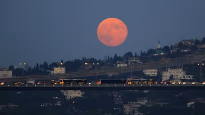 Rare Blue Supermoon 2024: What to expect, where will the event be visible; Check details