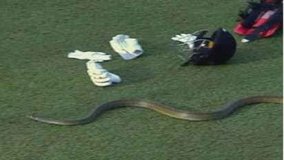 LPL 2023: ఉత్కంఠ పోరులో ఊహించిన పరిమాణం.. అనుకోని అతిథి రాకతో ఆగిపోయిన మ్యాచ్.. అసలేం జరిగిందంటే..?