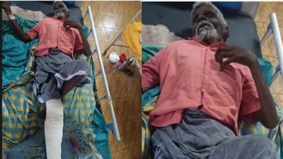 കേള്വിക്കുറവുള്ളതിനാല് ആന എത്തിയത് അറിഞ്ഞില്ല; കാട്ടാനയുടെ ആക്രമണത്തില് വയോധികന് പരിക്ക്