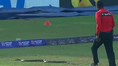 Lanka Premier League 2023: Snake stops play at Galle; Dinesh Karthik's playful dig at Bangladesh