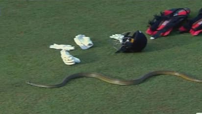 క్రికెట్ గ్రౌండ్‌లోకి పాము! తృటిలో తప్పించుకున్న ఇసురు ఉదాన... లంక ప్రీమియర్ లీగ్‌లో...