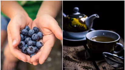 Boost Your Focus: Blueberries to Green Tea, 7 brain-boosting foods for enhanced concentration