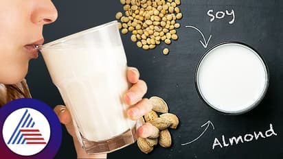 ಏನೇನೋ ಹಾಲು ಕುಡಿಯೋದಕ್ಕಿಂತ ಸುಮ್ಮನಿರಿ, ಬೇಕಾದ್ದು ಮೇಯೋ ದೇಸೀ ಹಸು ಹಾಲು ಬೆಸ್ಟ್!