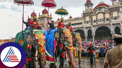 Spectacular Mysuru Dasara returns: Festivities set to commence on October 15; check details