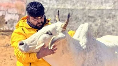 Who is Monu Manesar, the Bajrang Dal leader at centre of communal clashes in Haryana's Nuh?