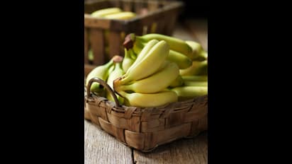 Business Ideas: ಮನೆಯಲ್ಲೇ ಬಾಳೆ ಹಿಟ್ಟಿನ ಬ್ಯುಸಿನೆಸ್ ಶುರು ಮಾಡಿ ಲಾಭ ಗಳಿಸಿ!