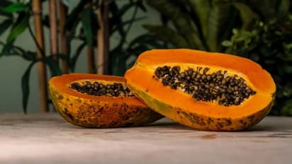 പപ്പായ കേടാകാതിരിക്കാൻ സൂക്ഷിക്കേണ്ടത് ഇങ്ങനെ...