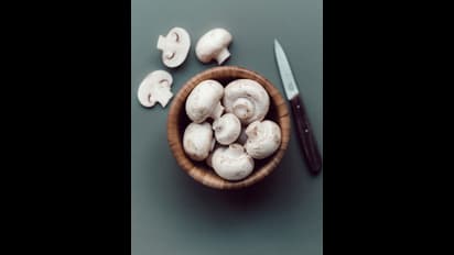 Weight Loss : உடலில் உள்ள கொழுப்பை வெளியேற்ற காளாண் உதவுமா? தெரிஞ்சுக்க இதை படிங்க