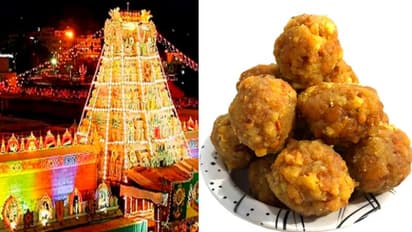 ലഡുവിന് നെയ്യ് വാങ്ങുന്നതില്‍ വിവാദം; വിശദീകരണവുമായി തിരുപ്പതി ബാലാജി ക്ഷേത്രം ഭരണസമിതി