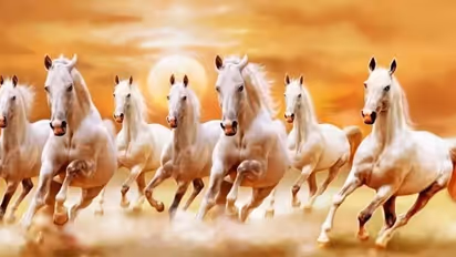 ಅದೃಷ್ಟ ತರುತ್ತಾ ಈ ಚಿತ್ರಗಳು..ಏನನ್ನತ್ತೆ ವಾಸ್ತು ಶಾಸ್ತ್ರ?