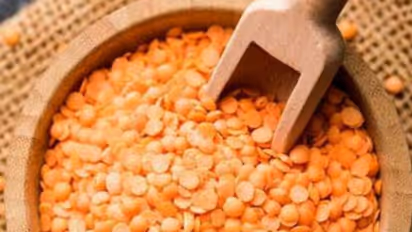 Heart health booster to leveling blood sugar: 5 health benefits of consuming Masoor Dal