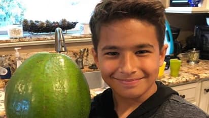 ലോക റെക്കോർഡ് നേടിയ അവക്കാഡോ, ഭാരം രണ്ടരക്കിലോ