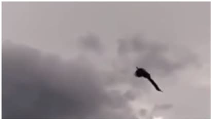 'ഇത്രയും ഉയരത്തിലേക്കോ ?'; ആകാശത്തോളം പറന്നുയരുന്ന മയിലിന്റെ ദൃശ്യം കണ്ട് അതിശയിച്ച് നെറ്റിസണ്സ് !