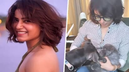 Samantha Ruth Prabhu turns peacemaker for her dog and kitten; netizens are in awe