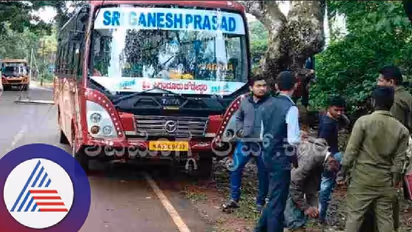 ವಿದ್ಯುತ್ ಕಂಬಕ್ಕೆ ಬಸ್ ಡಿಕ್ಕಿ: ಕರೆಂಟ್ ಶಾಕ್ಗೆ ಇಬ್ಬರು ಪ್ರಜ್ಞಾಹೀನ